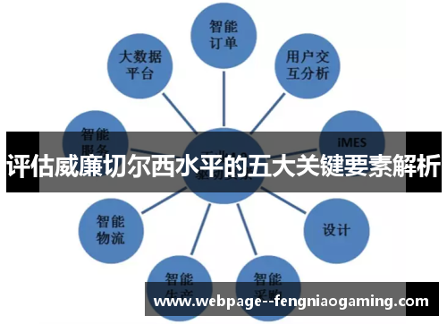 评估威廉切尔西水平的五大关键要素解析 评估威廉切尔西水平的五大关键要素解析