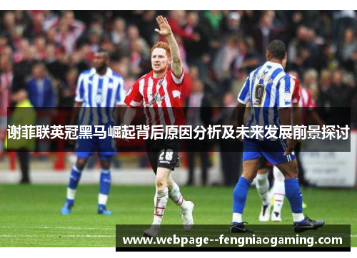 谢菲联英冠黑马崛起背后原因分析及未来发展前景探讨 谢菲联英冠黑马崛起背后原因分析及未来发展前景探讨