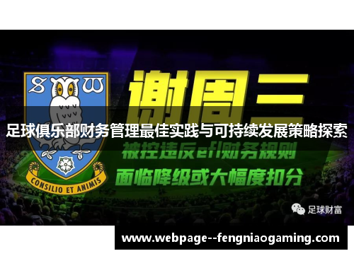 足球俱乐部财务管理最佳实践与可持续发展策略探索 足球俱乐部财务管理最佳实践与可持续发展策略探索