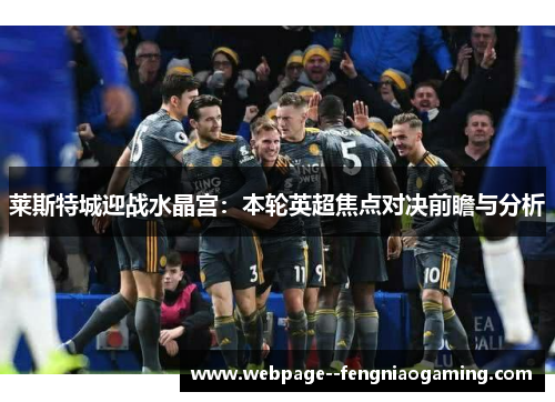 莱斯特城迎战水晶宫:本轮英超焦点对决前瞻与分析 莱斯特城迎战水晶宫:本轮英超焦点对决前瞻与分析