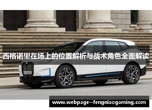 西格诺里在场上的位置解析与战术角色全面解读 西格诺里在场上的位置解析与战术角色全面解读