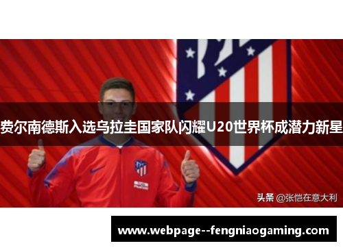 费尔南德斯入选乌拉圭国家队闪耀U20世界杯成潜力新星
