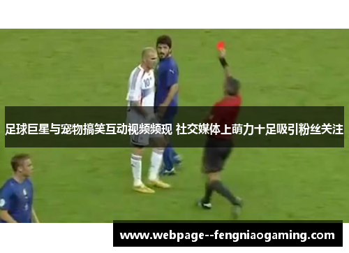足球巨星与宠物搞笑互动视频频现 社交媒体上萌力十足吸引粉丝关注 足球巨星与宠物搞笑互动视频频现 社交媒体上萌力十足吸引粉丝关注