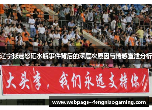 辽宁球迷怒砸水瓶事件背后的深层次原因与情感宣泄分析